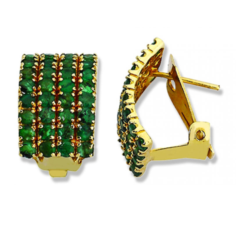 Hastaşlı Küpe EHT006